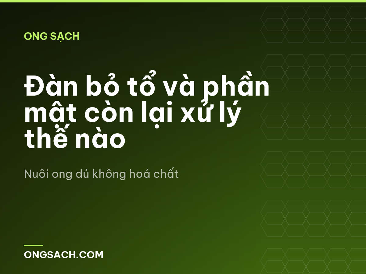 Đàn bỏ tổ và phần mật còn lại xử lý thế nào
