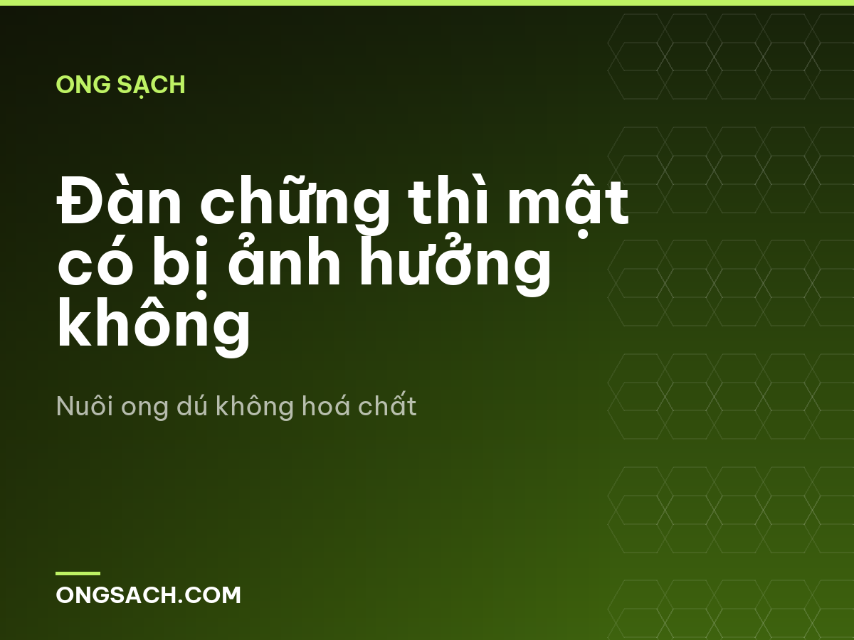 Đàn chững thì mật có bị ảnh hưởng không