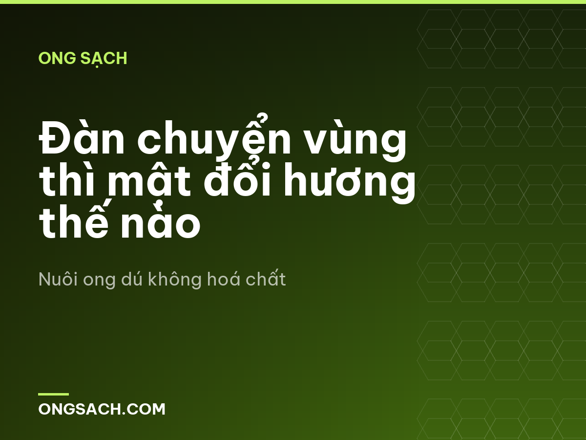 Đàn chuyển vùng thì mật đổi hương thế nào