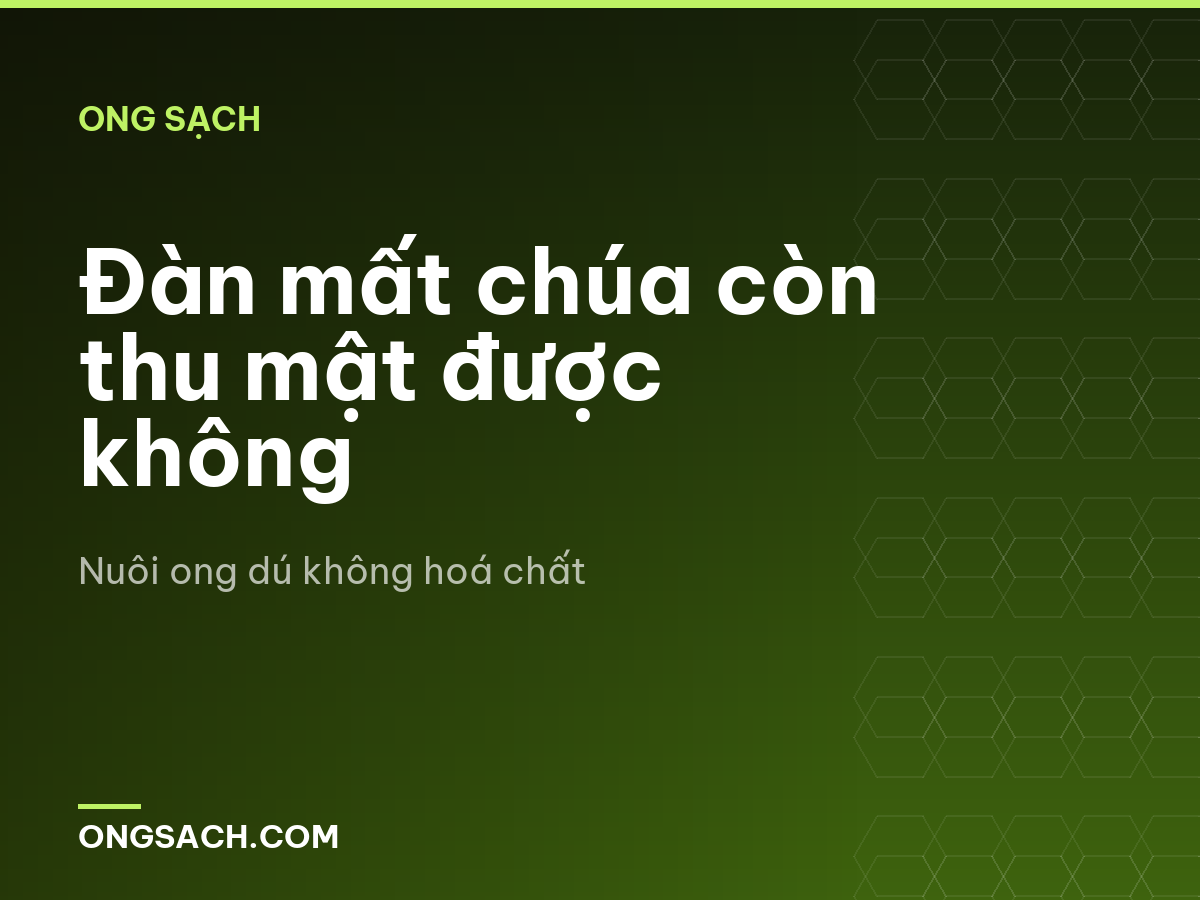 Đàn mất chúa còn thu mật được không