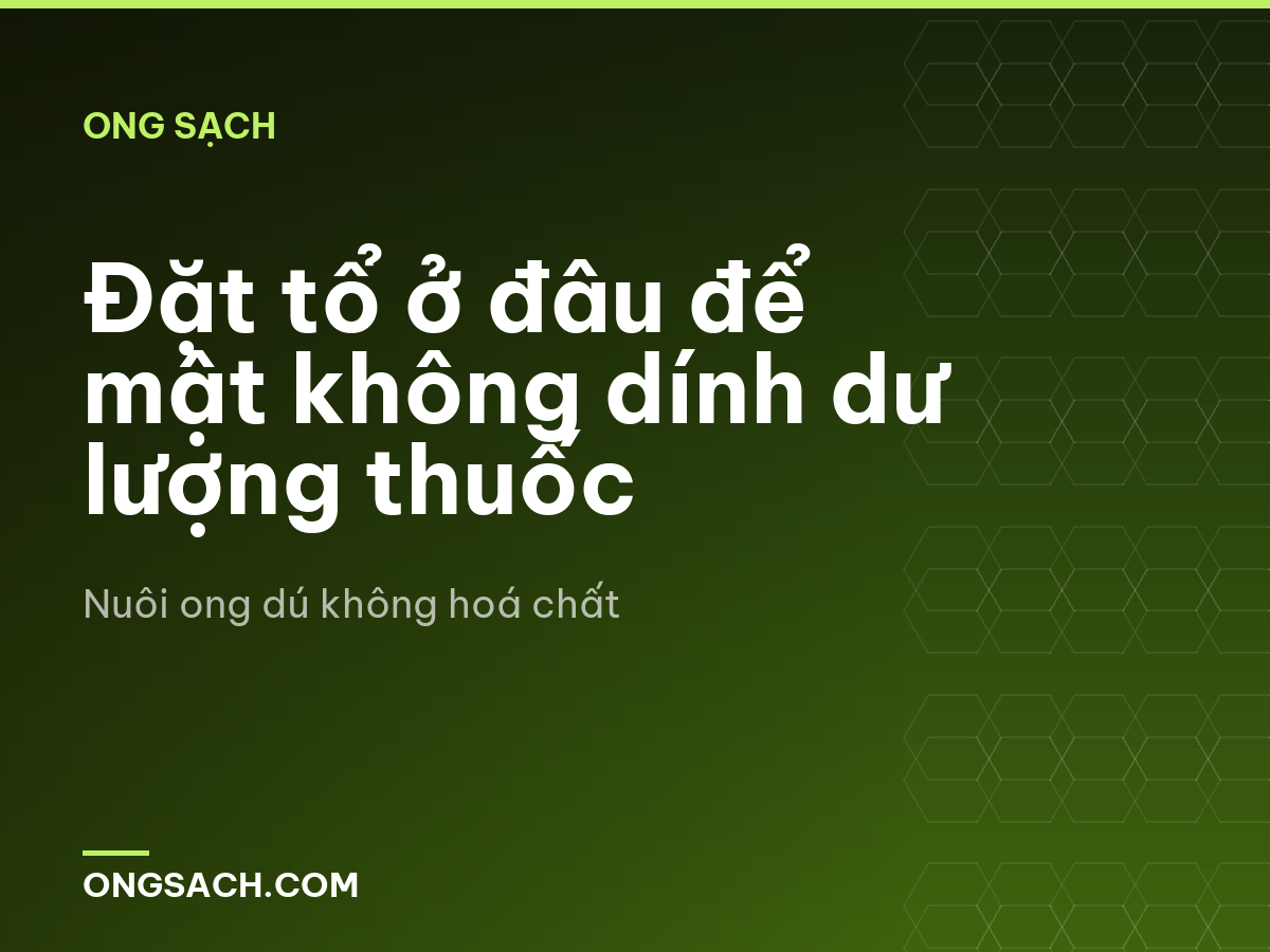 Đặt tổ ở đâu để mật không dính dư lượng thuốc