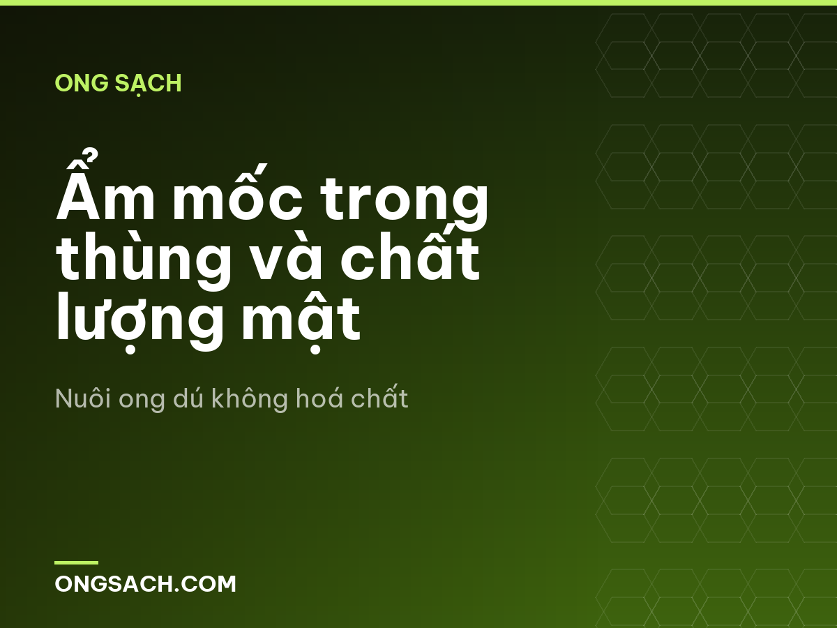 Ẩm mốc trong thùng và chất lượng mật