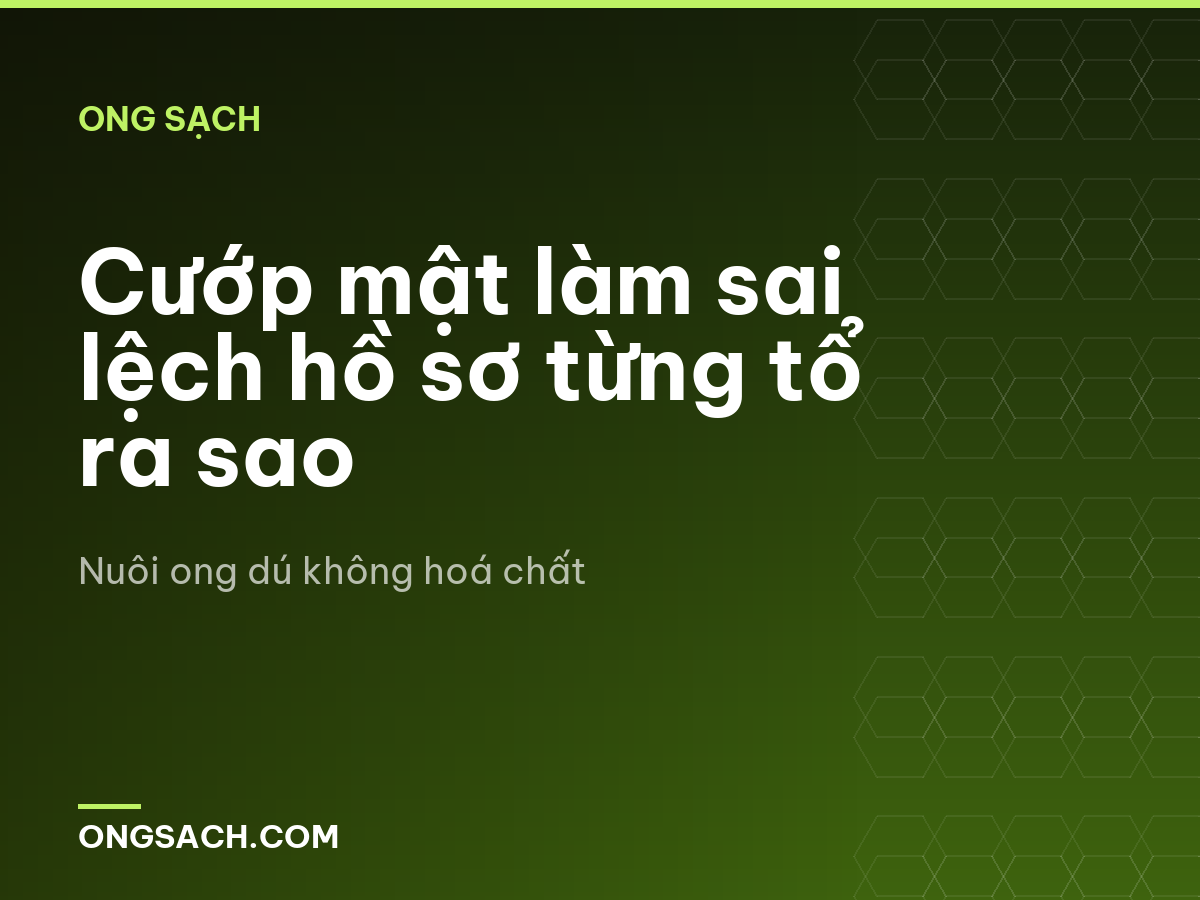 Cướp mật làm sai lệch hồ sơ từng tổ ra sao