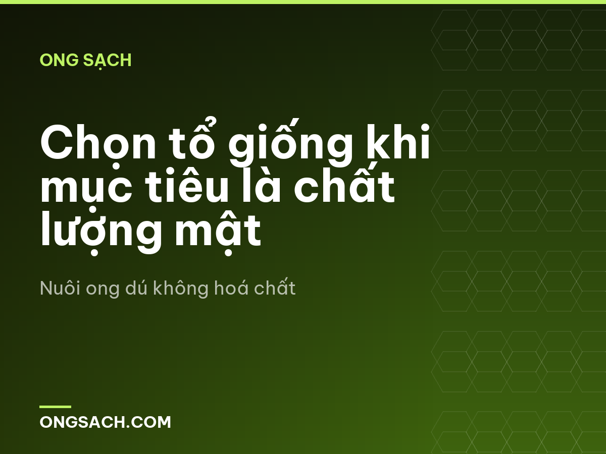 Chọn tổ giống khi mục tiêu là chất lượng mật