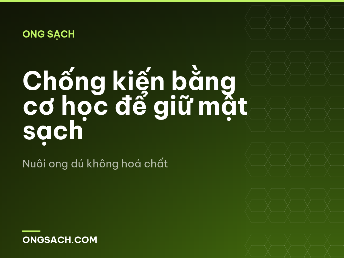 Chống kiến bằng cơ học để giữ mật sạch