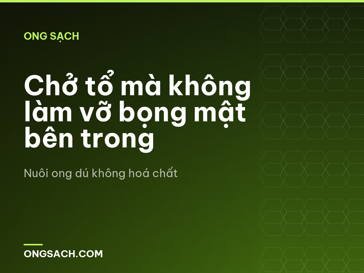 Chở tổ mà không làm vỡ bọng mật bên trong