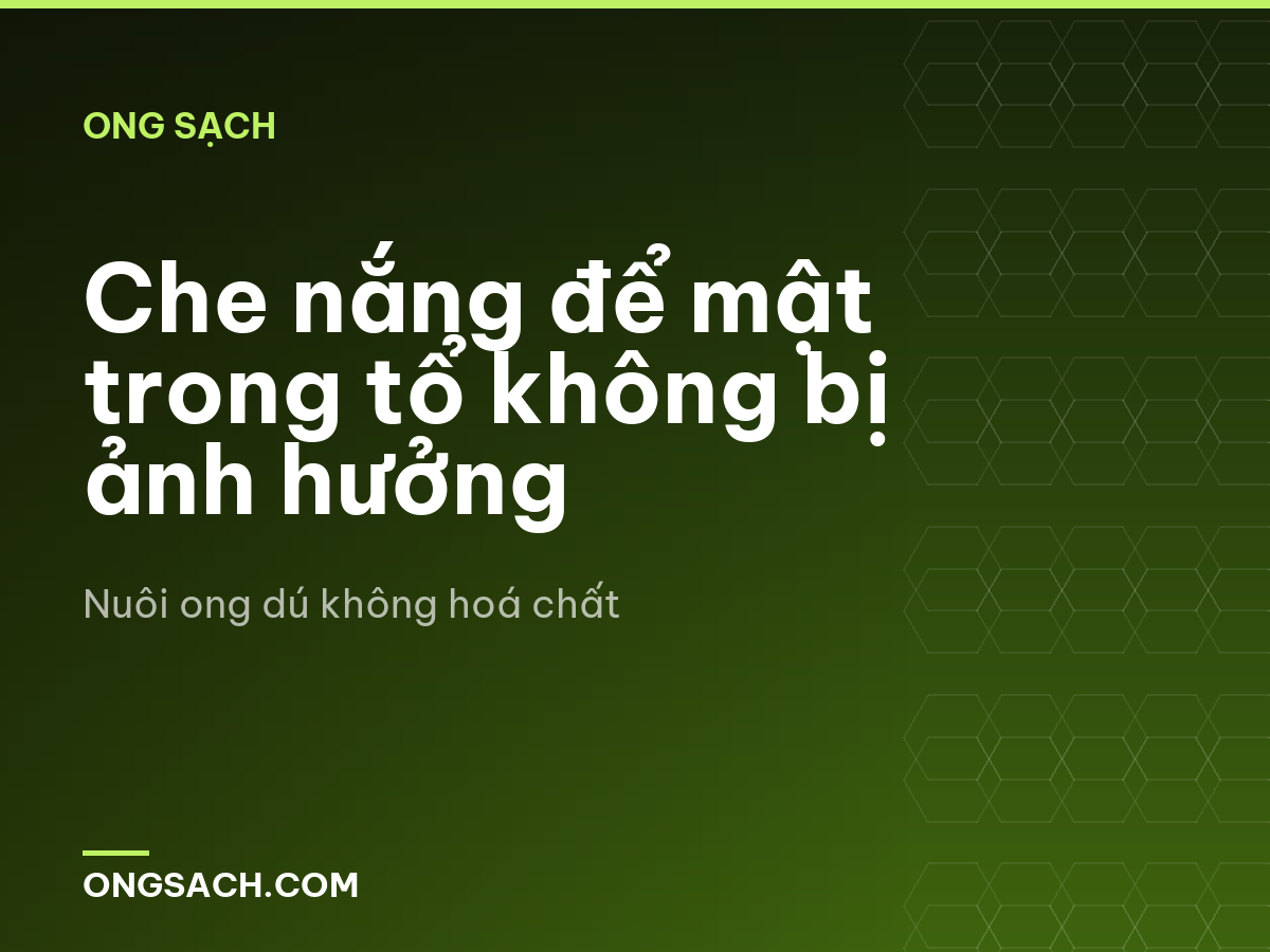 Che nắng để mật trong tổ không bị ảnh hưởng