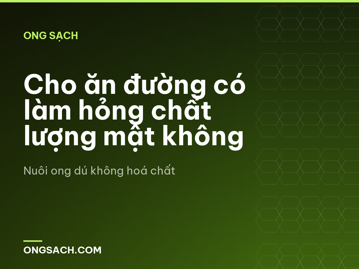 Cho ăn đường có làm hỏng chất lượng mật không