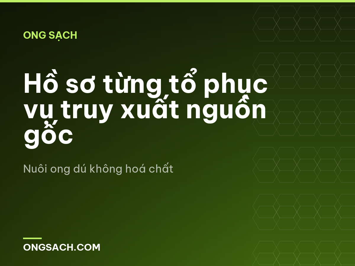 Hồ sơ từng tổ phục vụ truy xuất nguồn gốc