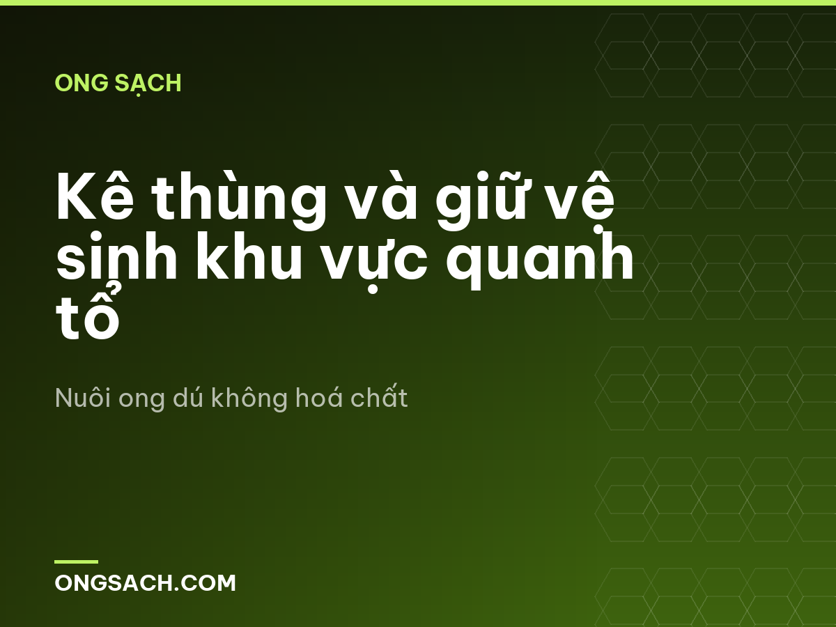 Kê thùng và giữ vệ sinh khu vực quanh tổ