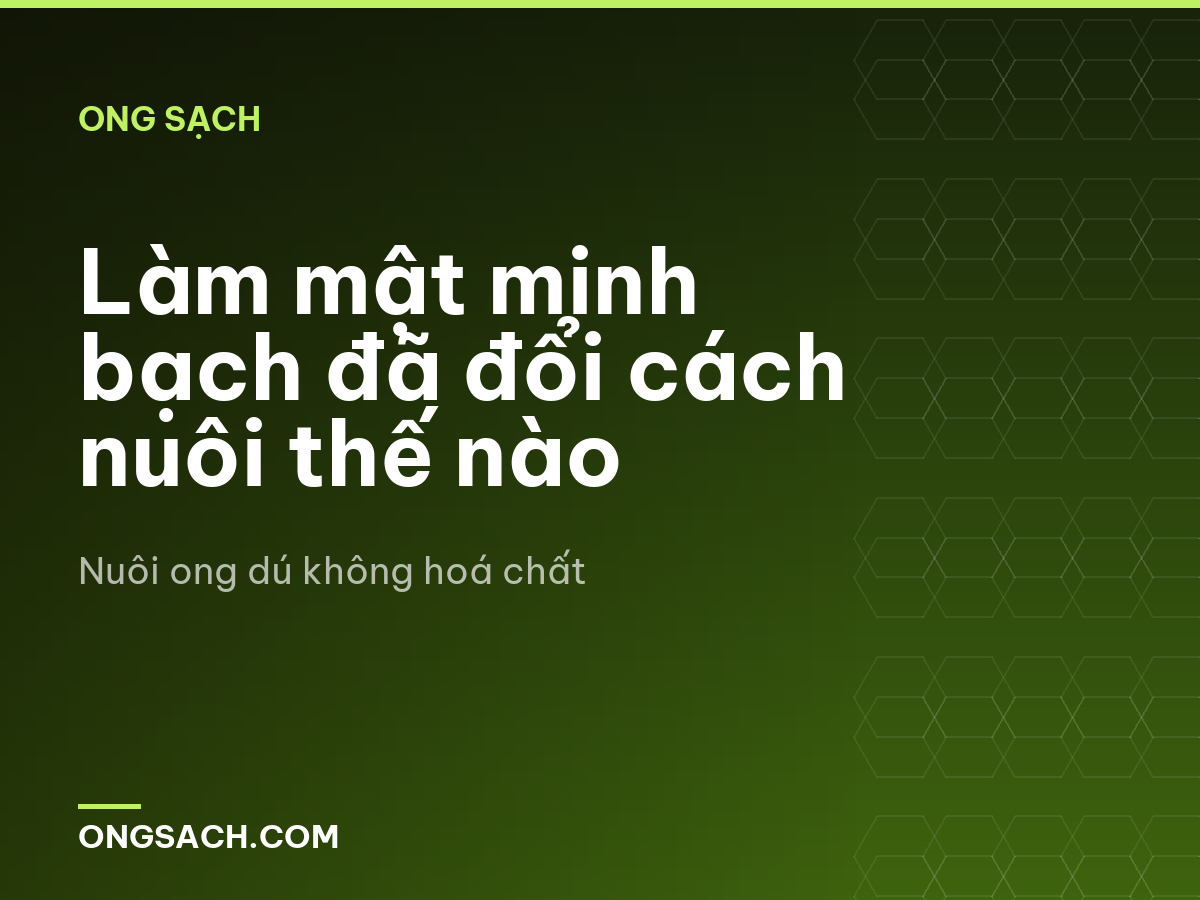 Làm mật minh bạch đã đổi cách nuôi thế nào