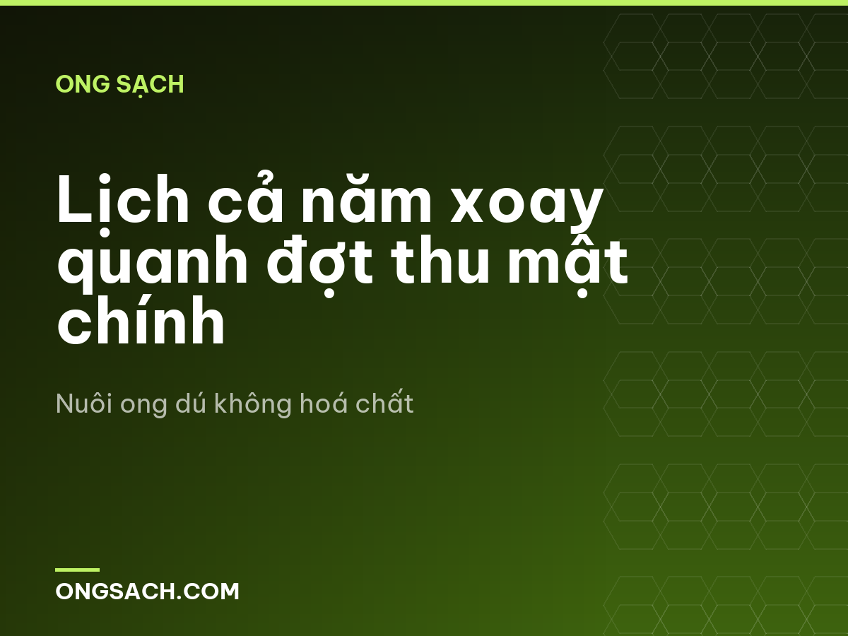 Lịch cả năm xoay quanh đợt thu mật chính