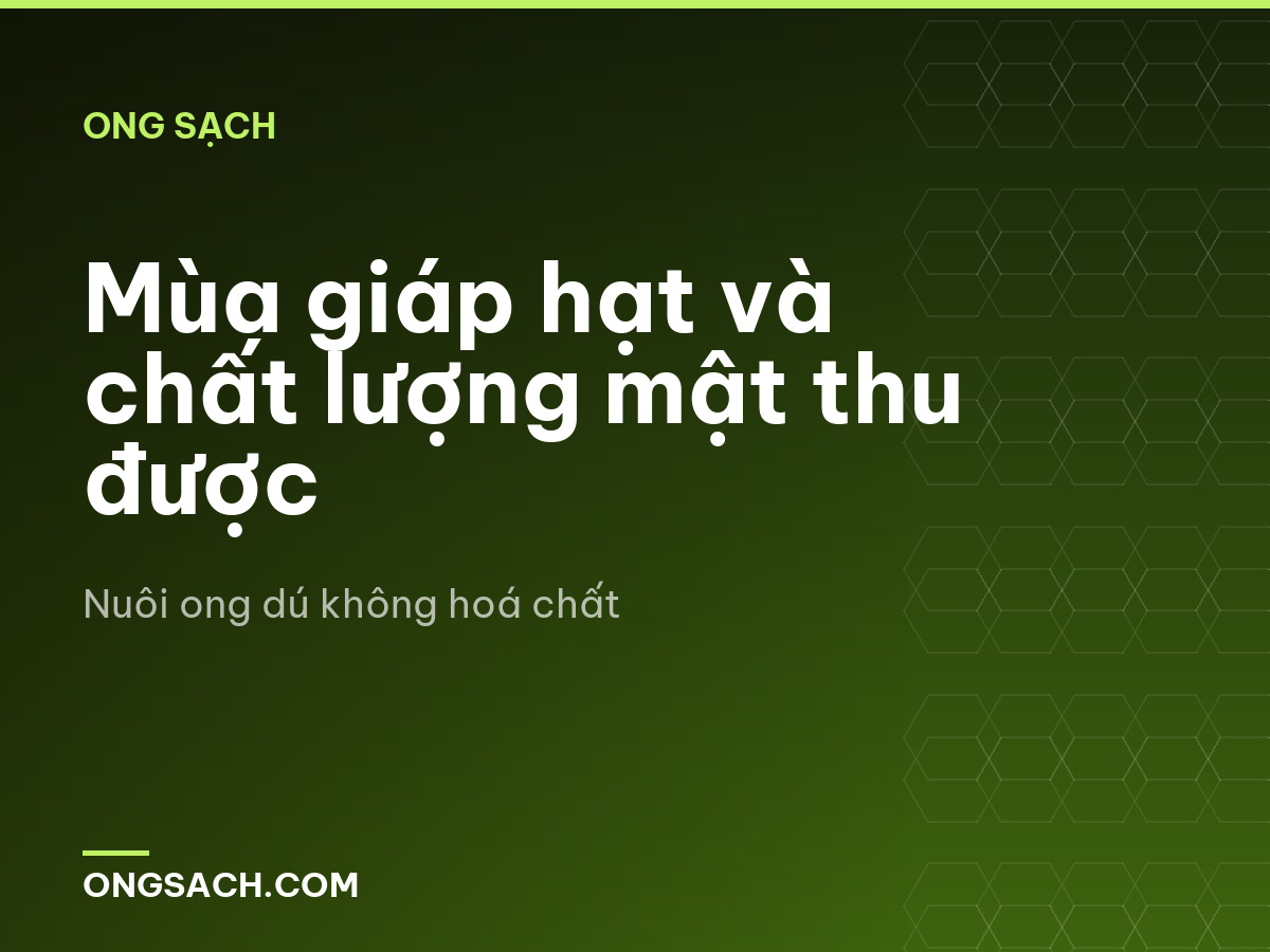 Mùa giáp hạt và chất lượng mật thu được