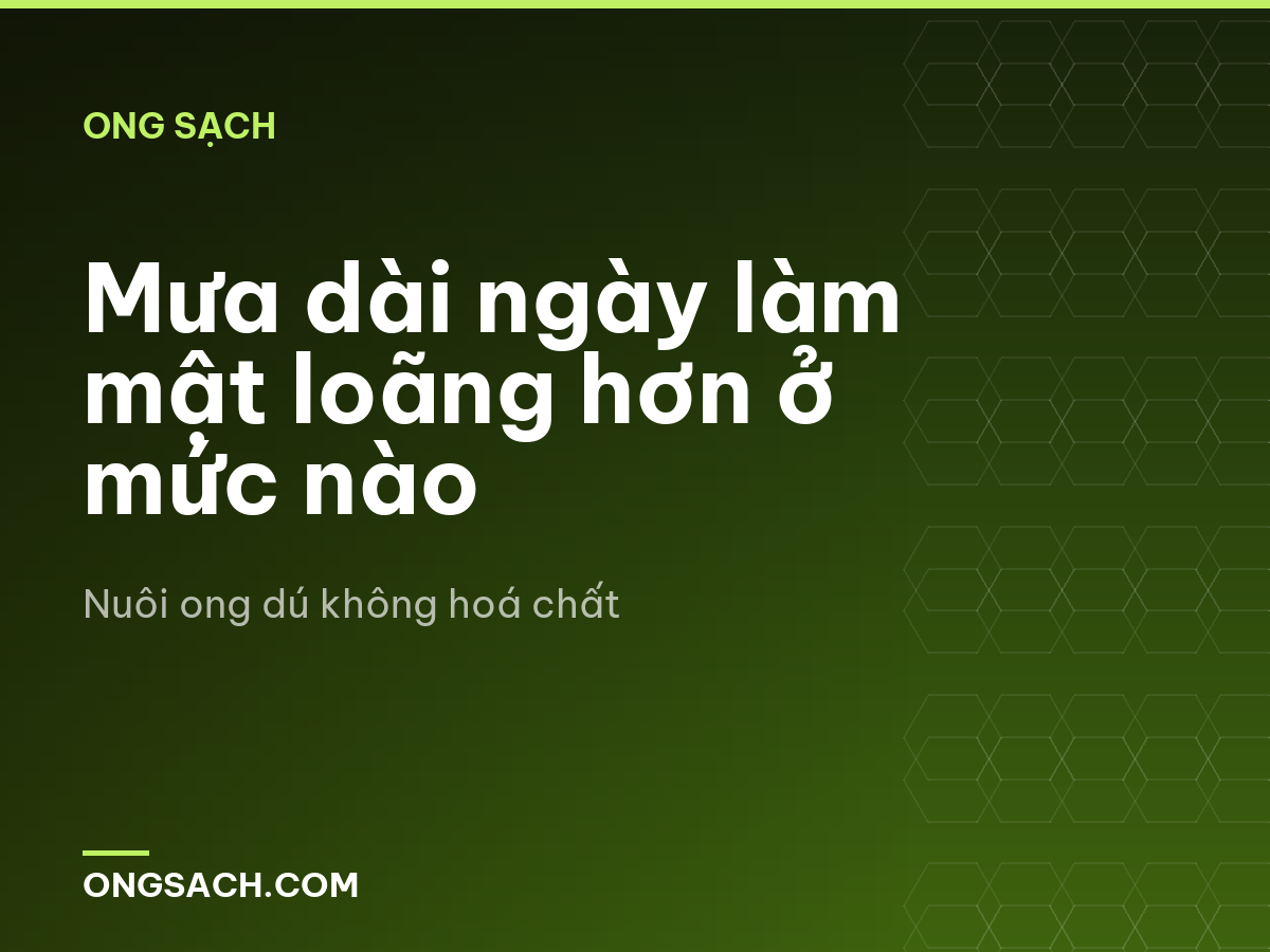 Mưa dài ngày làm mật loãng hơn ở mức nào