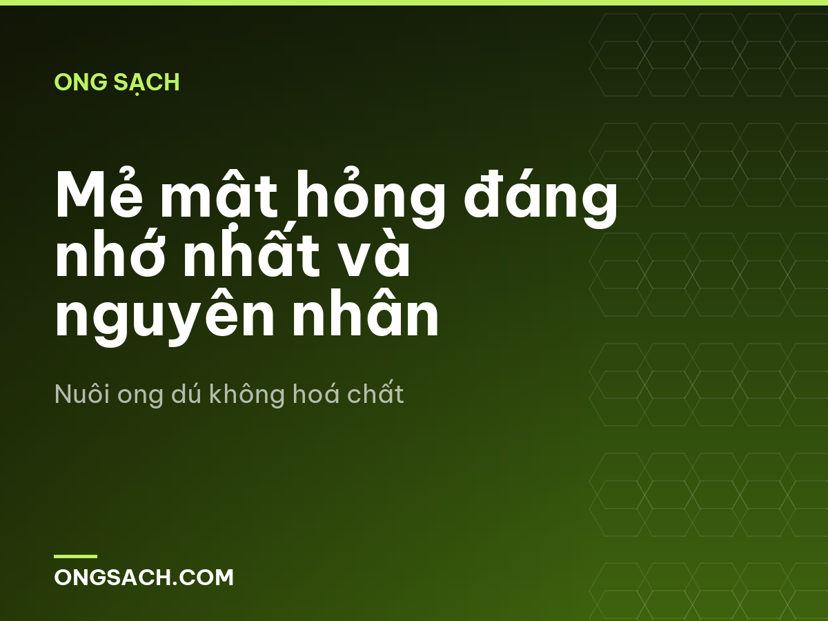 Mẻ mật hỏng đáng nhớ nhất và nguyên nhân