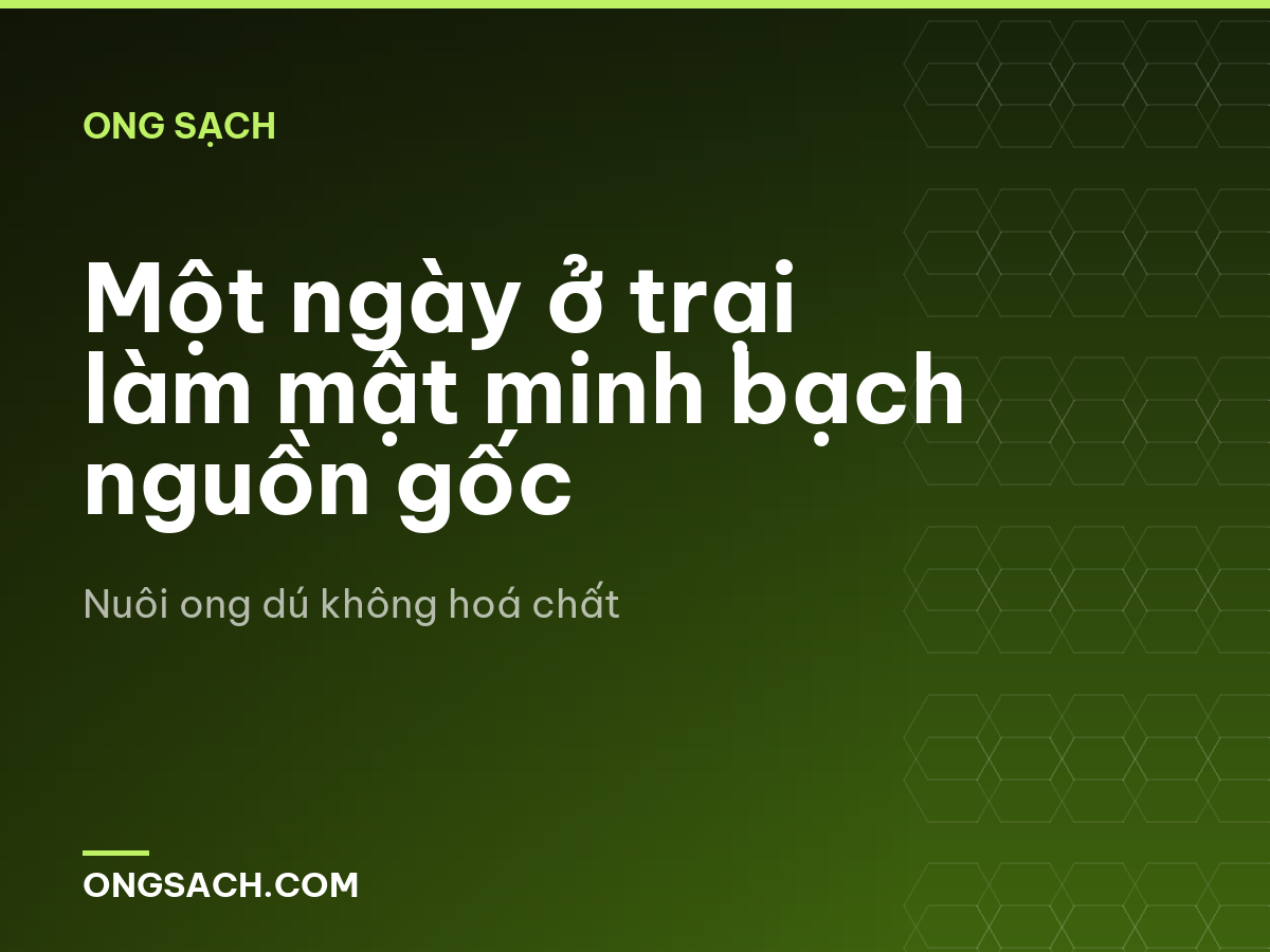 Một ngày ở trại làm mật minh bạch nguồn gốc