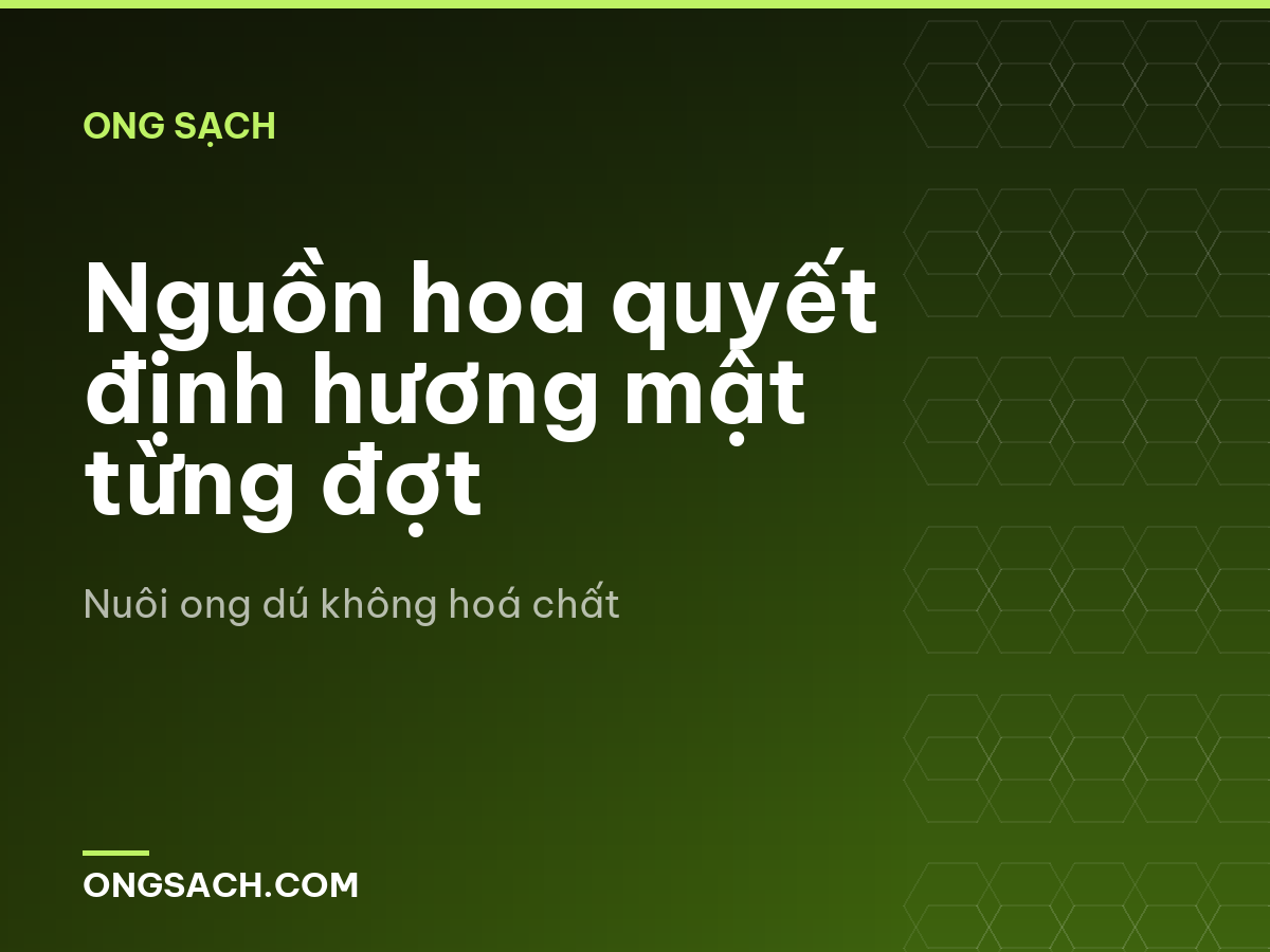Nguồn hoa quyết định hương mật từng đợt