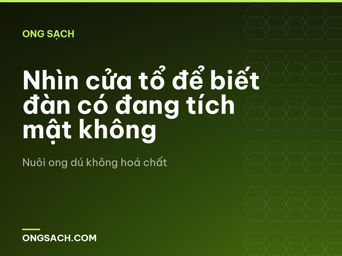 Nhìn cửa tổ để biết đàn có đang tích mật không