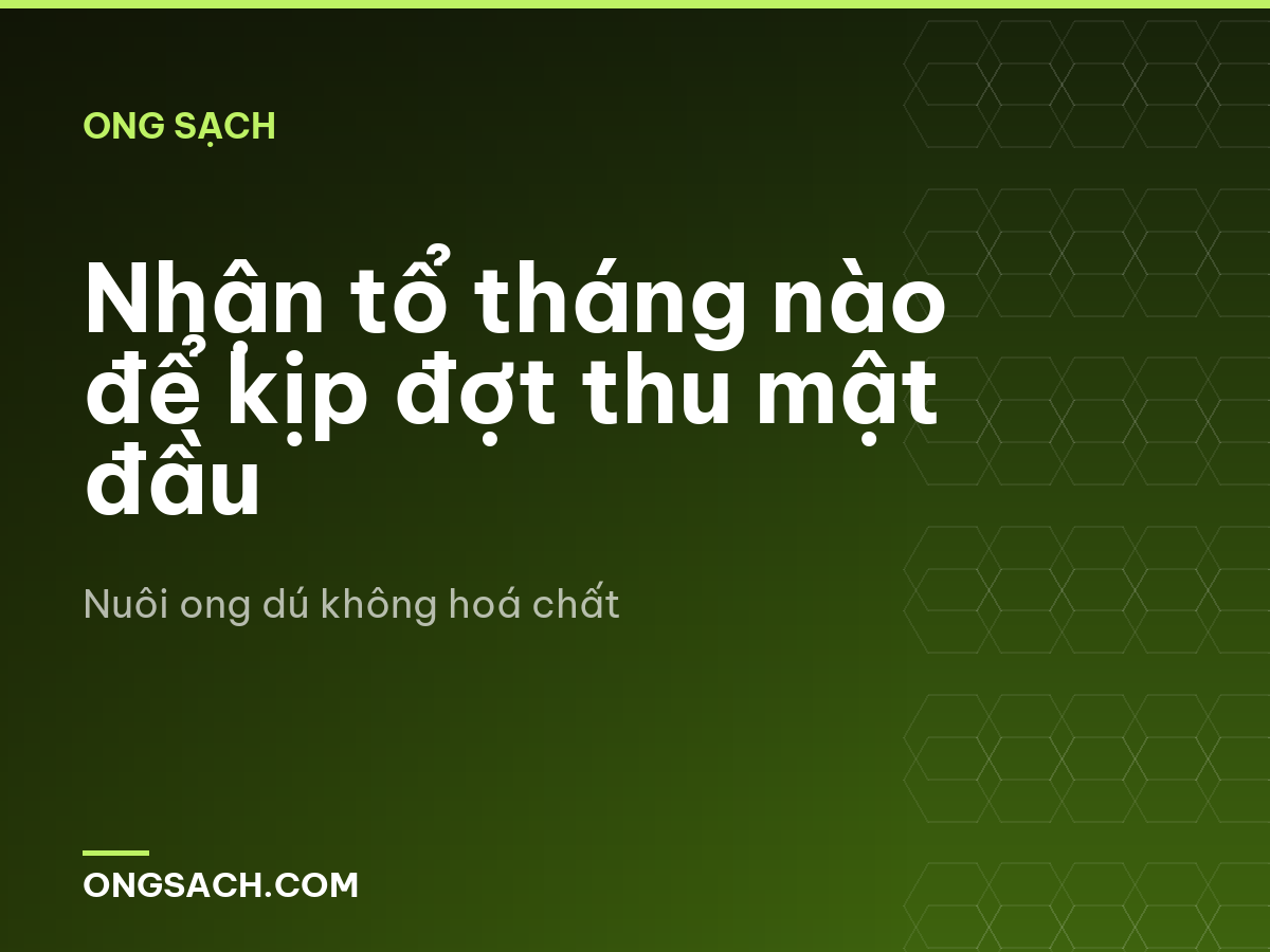Nhận tổ tháng nào để kịp đợt thu mật đầu