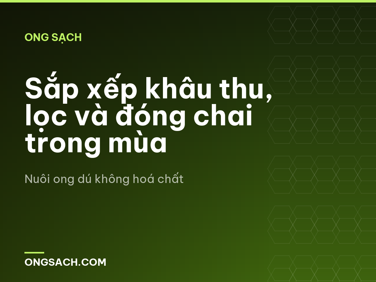 Sắp xếp khâu thu, lọc và đóng chai trong mùa