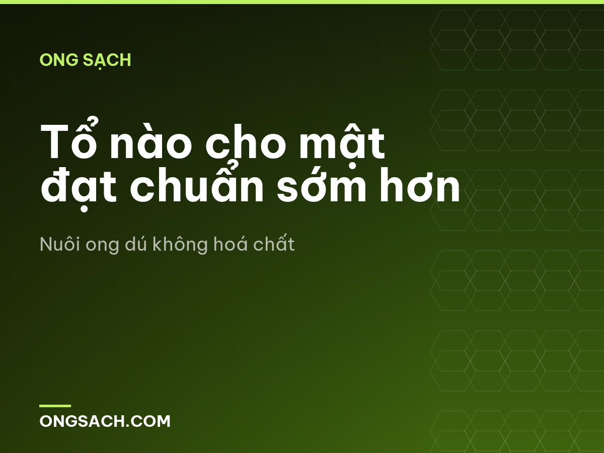 Tổ nào cho mật đạt chuẩn sớm hơn