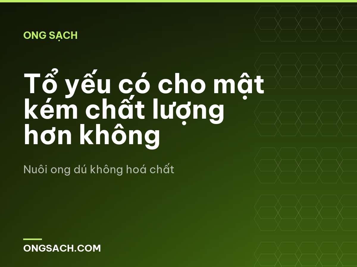 Tổ yếu có cho mật kém chất lượng hơn không