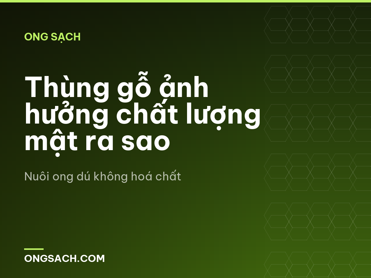 Thùng gỗ ảnh hưởng chất lượng mật ra sao
