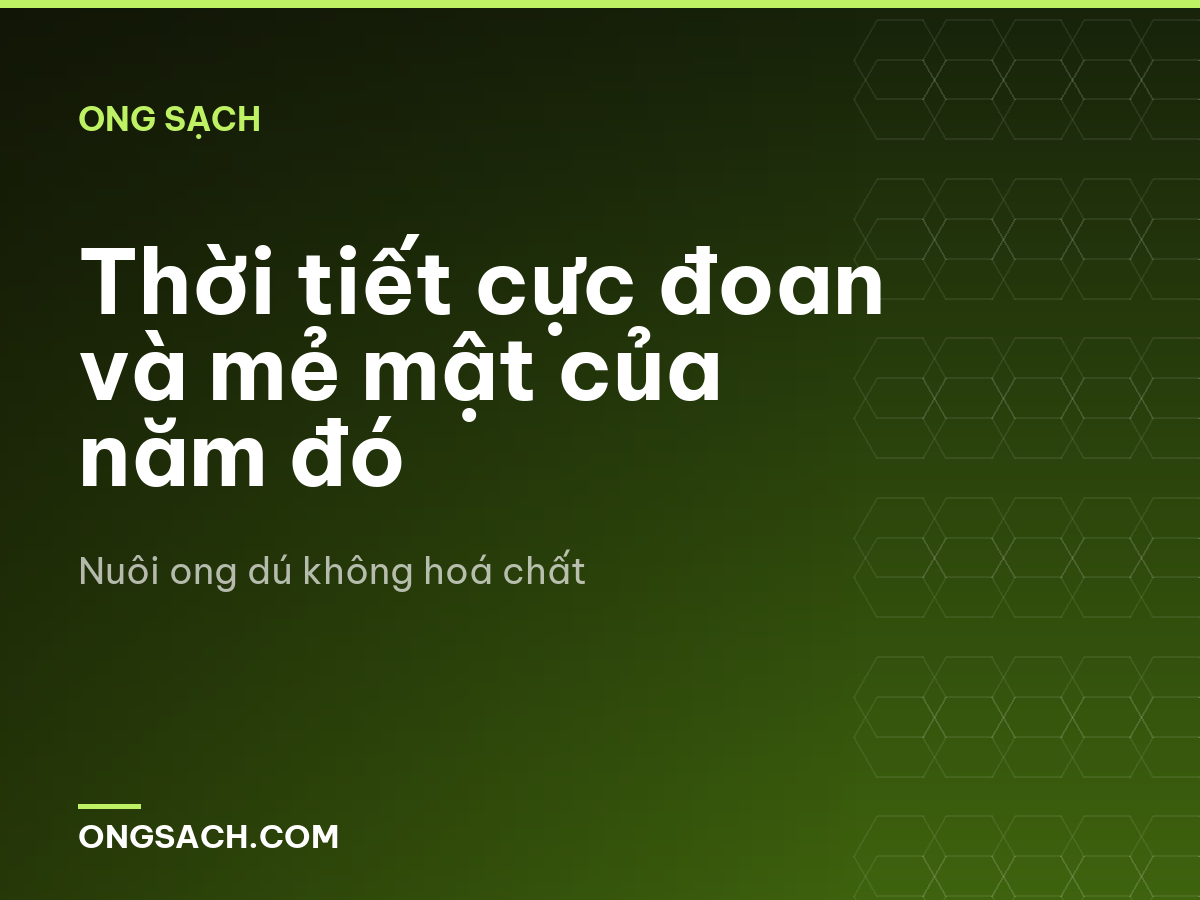 Thời tiết cực đoan và mẻ mật của năm đó