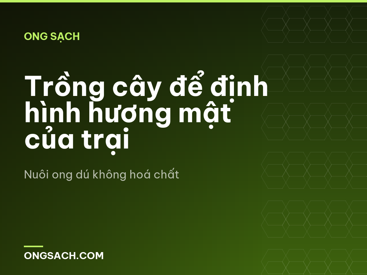 Trồng cây để định hình hương mật của trại